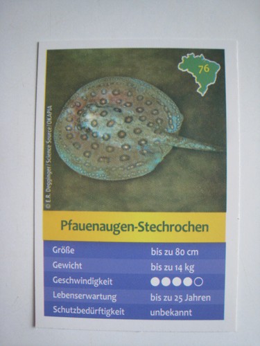 Entdecke brasilien - entdecke,