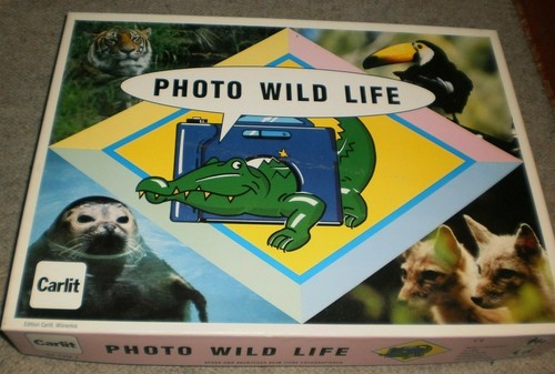 Photo wild life - photo,