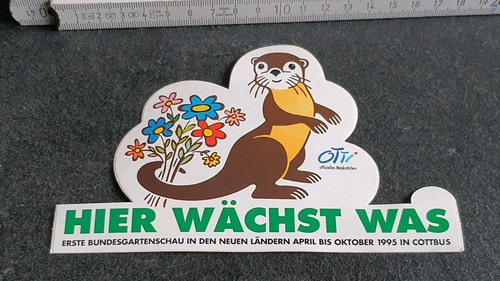 Hier wächst was cottbus 95 - was, /