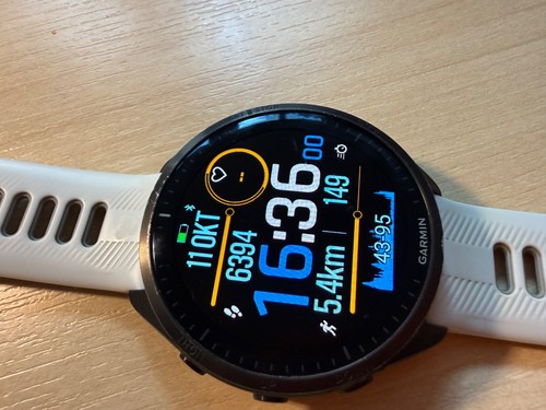 Garmin forerunner 965 - garmin,