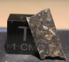 Mond-Meteorit  NWA 10291 Teil-Scheibe 290mg