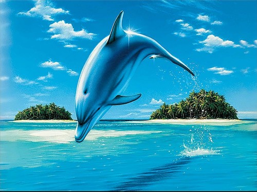 Ravensburger puzzle 500 - puzzle,