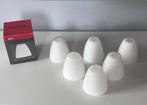 Ersatzglas fischer - 6x,