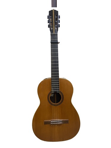 Gitarre