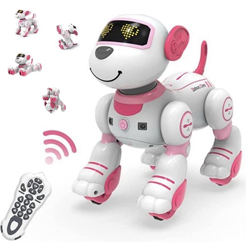 Roboter hund ferngesteuerter - hund,
