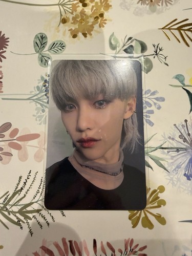 Stray kids photocard - stray, in