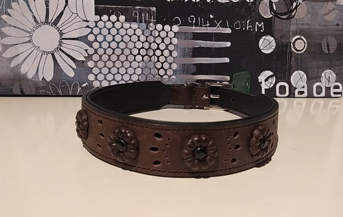 Hunter hunde halsband - halsband,