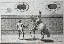 Wolberittener Cavallier,  Reit- und Zaum-Kunst. Kupferstecher P. Troschel 1678