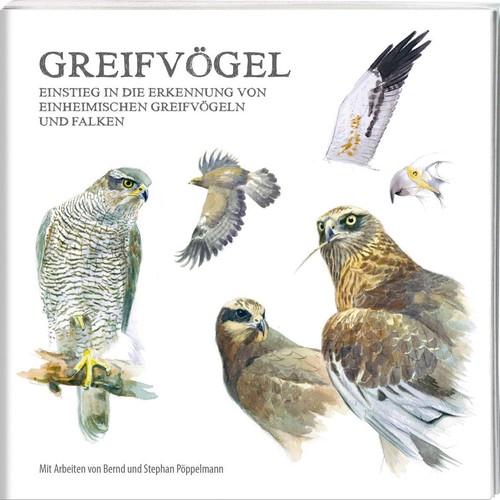 Greifvögel stephan - greifvögel, ~