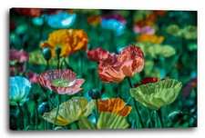 Lein-Wand-Bild: Blumenbilder