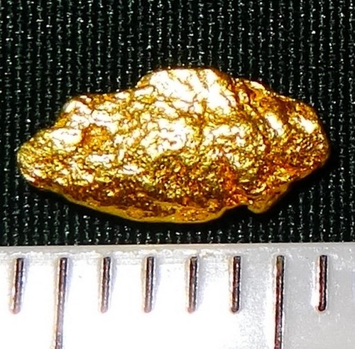 Xxl goldnugget mm - 7,1,