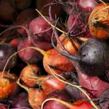Farbenfrohe Rote Bete