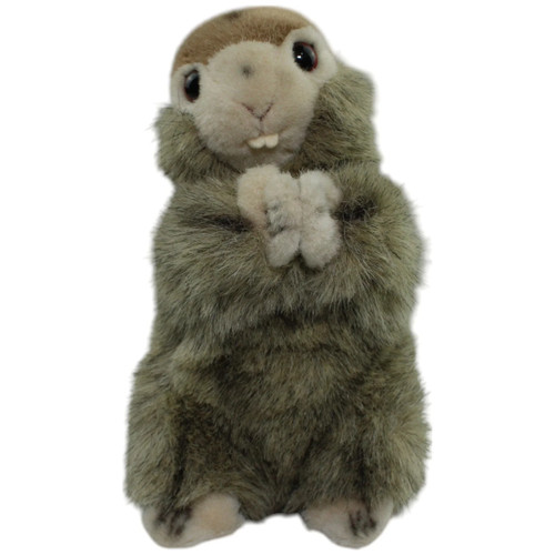 Murmeltier kuscheltier - murmeltier,