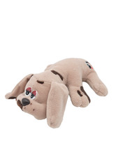 Wauzi Schildkröt Hund beige