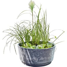 Solar Wassergarten AQUATOPIA