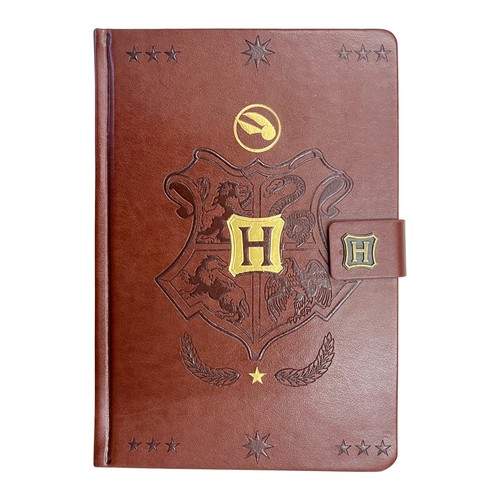 Harry potter quidditch - harry,