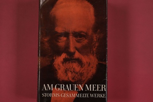 296908 theodor storm - storm, grauen