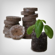 Jiffy Original Torfquelltöpfe