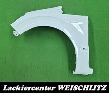 KOTFLÜGEL LACKIERT IN