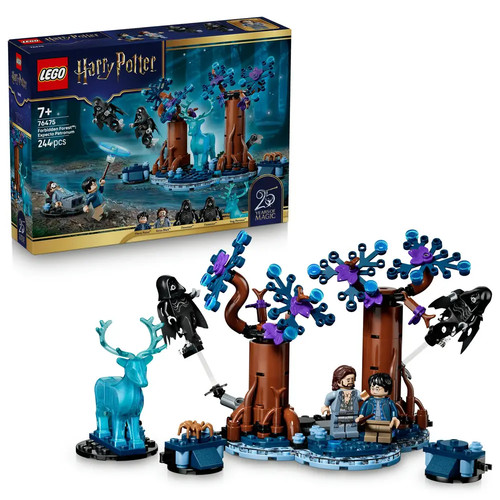 Lego harry potter - potter™, 76475