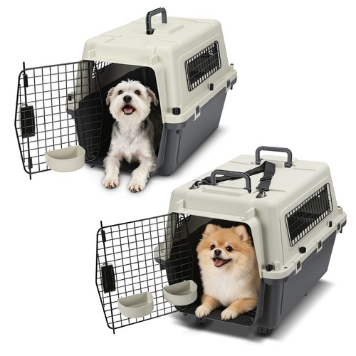 Pet transportbox kleintier - pet,