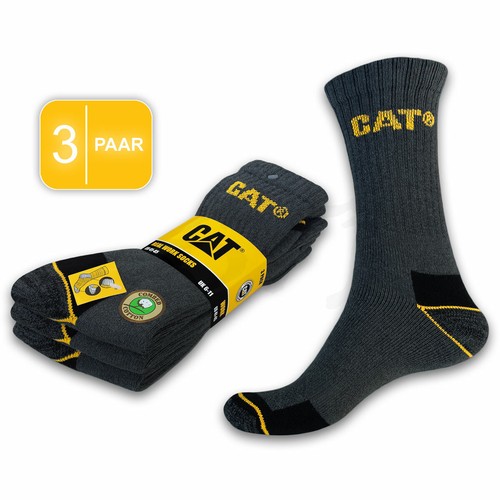 Cat caterpillar real - cat,
