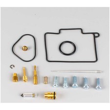 Vergaserreparatursatz ProX