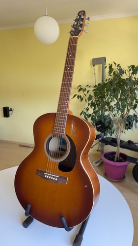 Akustikgitarre seagull - akustikgitarre,