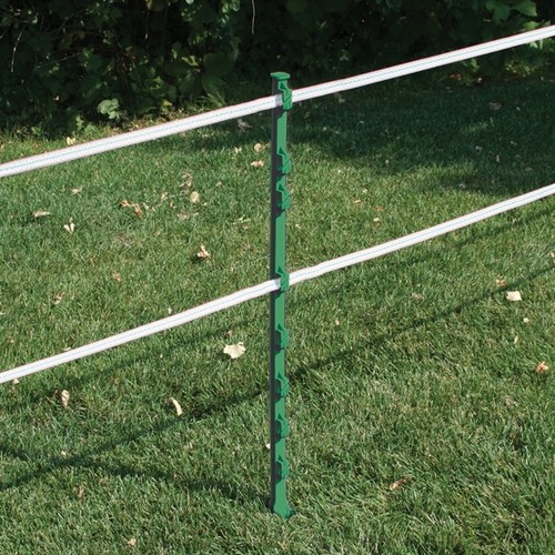 Grün 3ft poly - 10,