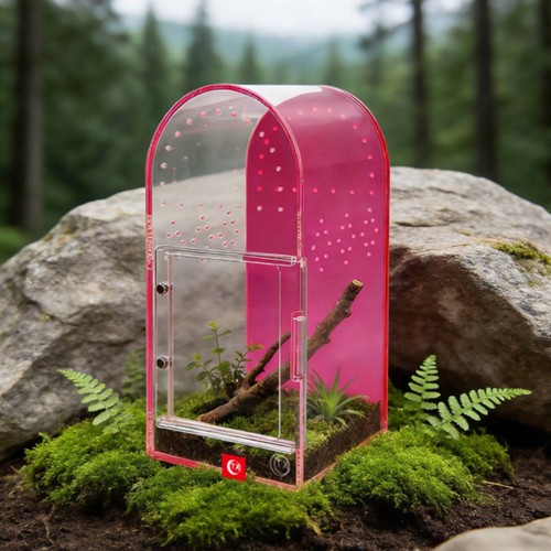 Acryl spinnen terrarium 360 - spinnen,