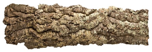 Kork rinde xxl 100x30 cm - kork,