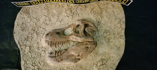 Jurassic park fossil rex - park,