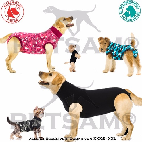 Body hund wundschutz nach - hund,