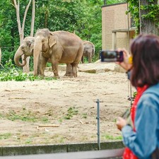 Gutschein Kurztrip Dresden 3*