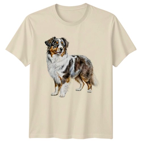 Australian shepherd hund - shepherd,