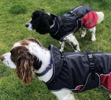 Hunter Hundemantel