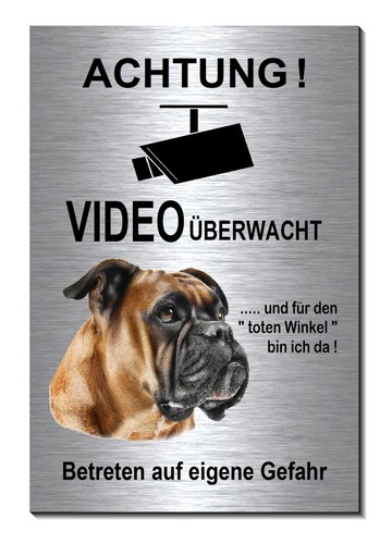 Boxer-Hund-Aluminium-Edelstahl
