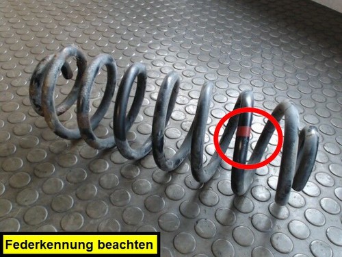 Hinterfeder links bmw - links,