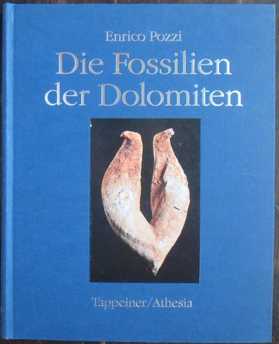 Die fossilien der - die,