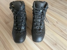 Lowa Renegade EVO GTX Mid