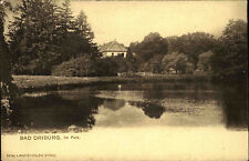 Bad Driburg Eggegebirge ca. 1910 Park Parkanlage Teich Weiher Verlag A. Dirichs