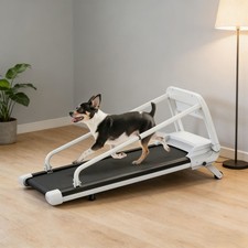 Professionelles Hundelaufband