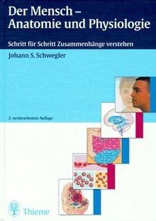 Der mensch anatomie - mensch,, und