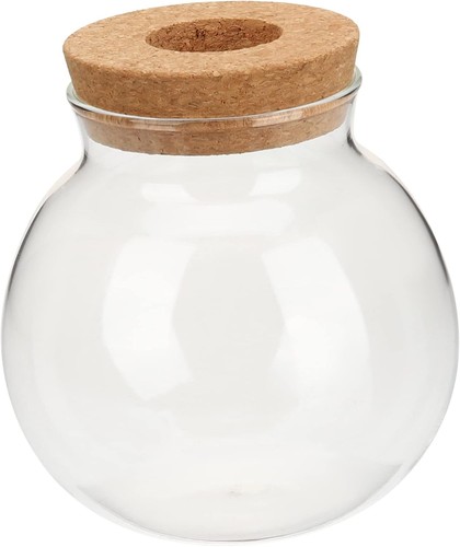 Hydroponische vase glas ball - hydroponische,