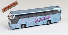 Rietze 1:87 H0 - Reisebus