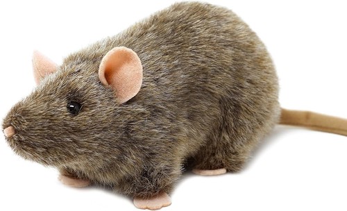 Reuben die ratte 7 zoll - die,