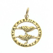 Raben Runen Anhänger Amulett