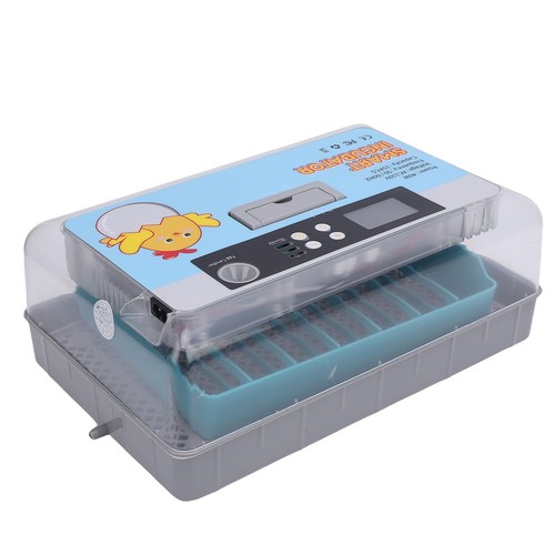 Egg incubator digital - egg, display