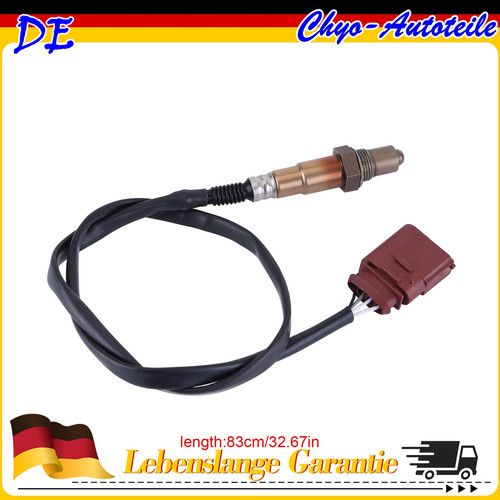 Für 16v 55kw 75ps - für,