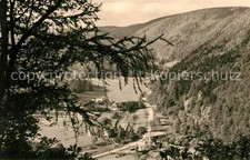 Ilfeld Suedharz Kaltes Tal Netzkater